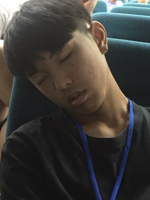 圖片說明
