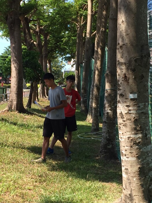 圖片說明